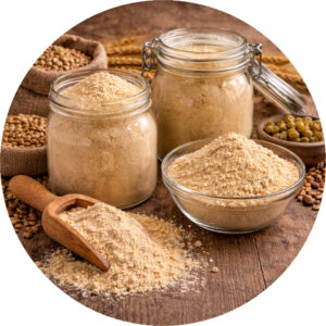 Spray Dried Malt Extracts